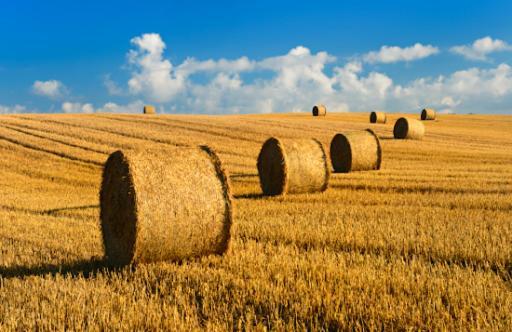 Le Clos Saint Vincent Manneville-ès-Plains 外观 照片